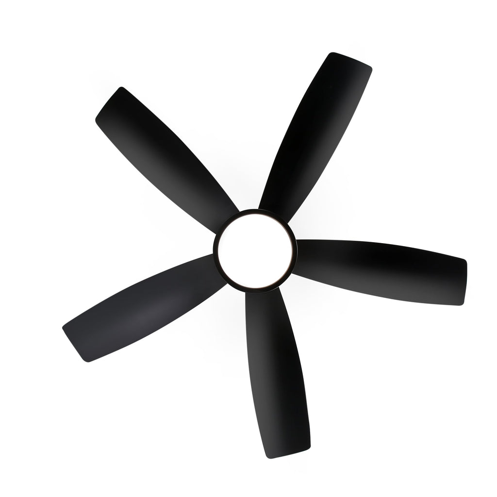 Breezary 65/52/42 5-Blade LED Ceiling Fan with Light Kit and Remote