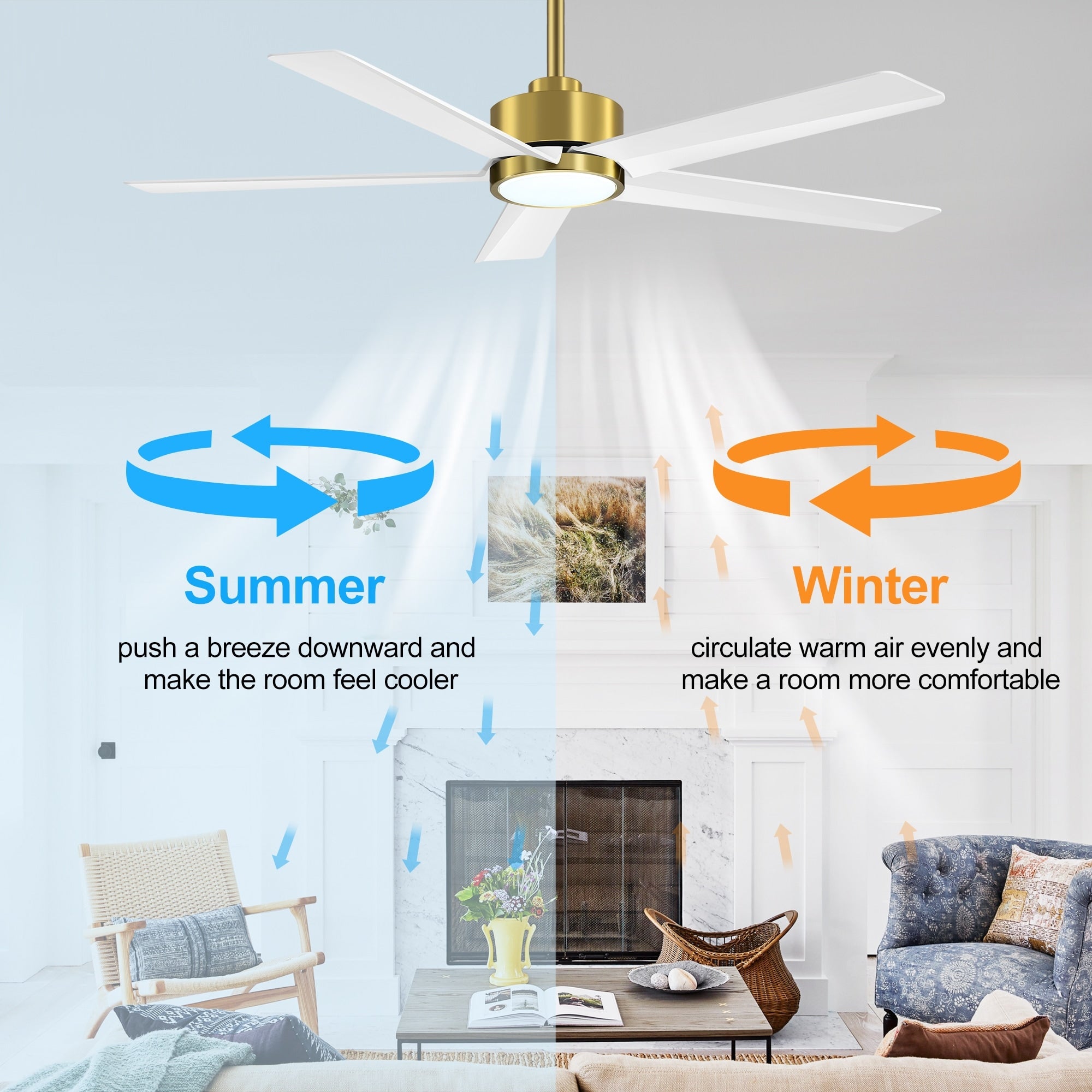 Breezary 65/52/42 5-Blade LED Ceiling Fan with Light Kit and Remote