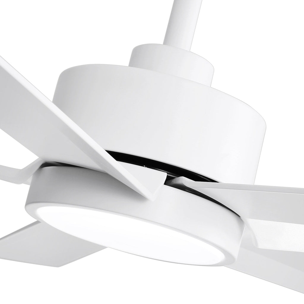 Breezary 65/52/42 5-Blade LED Ceiling Fan with Light Kit and Remote