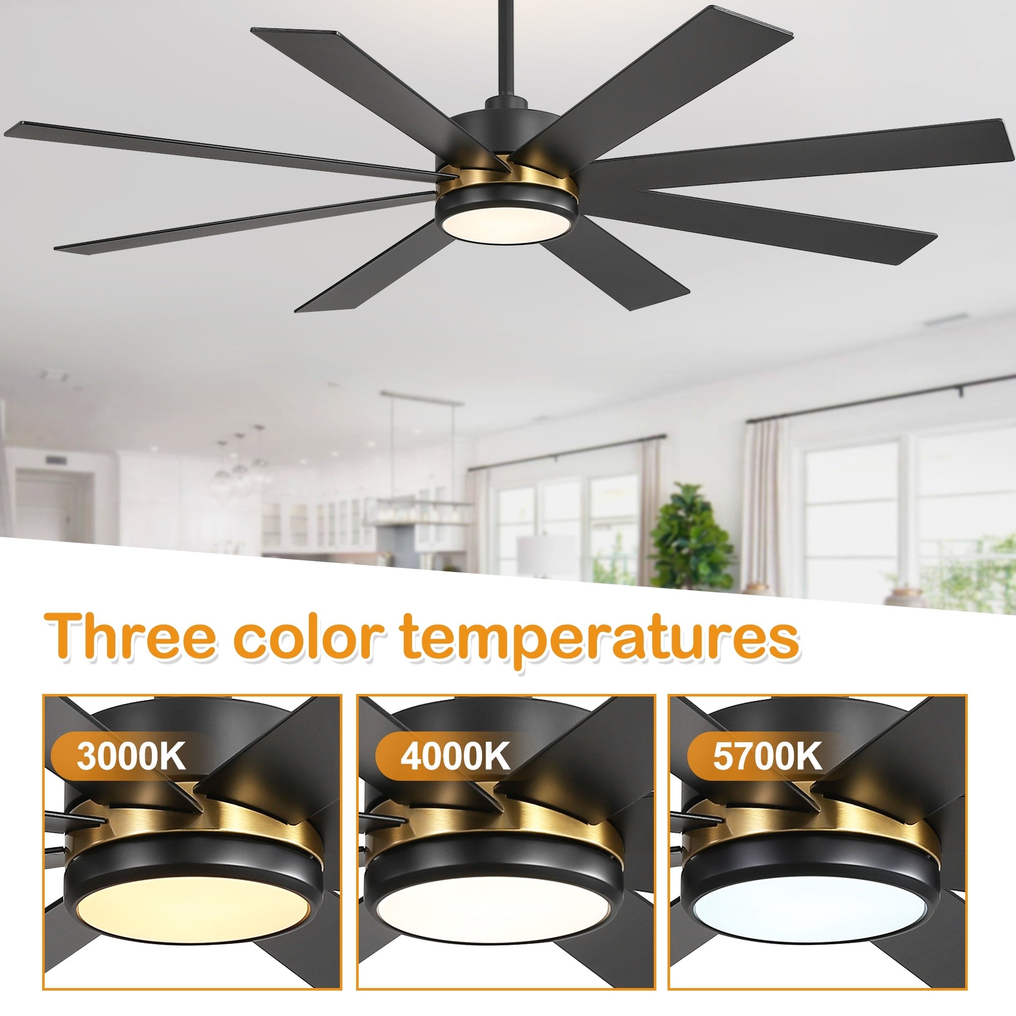 65 Inch 8-Blade Black LED Ceiling Fan with Light and Remote